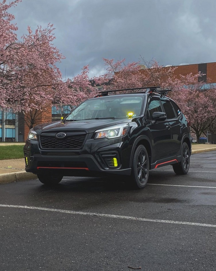 Amar T's 2019 Forester Sport