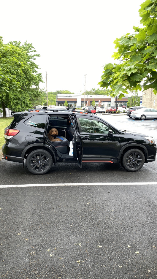Amar T's 2019 Forester Sport