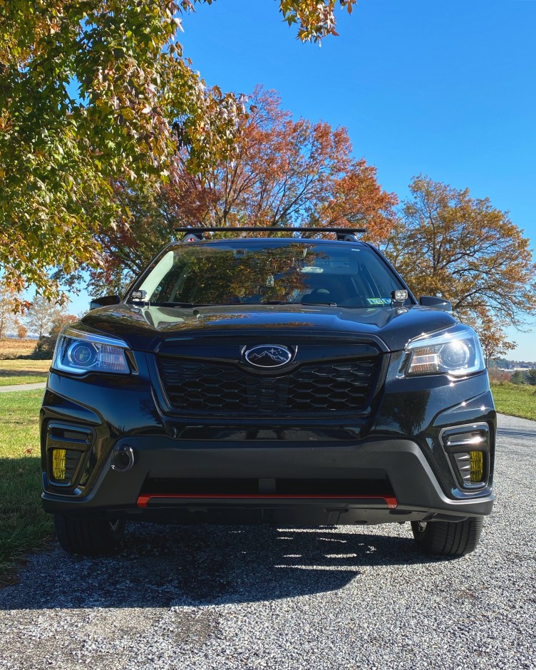 Amar T's 2019 Forester Sport