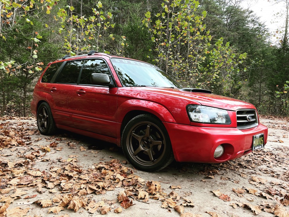 Cianna Corley's 2005 Forester XT