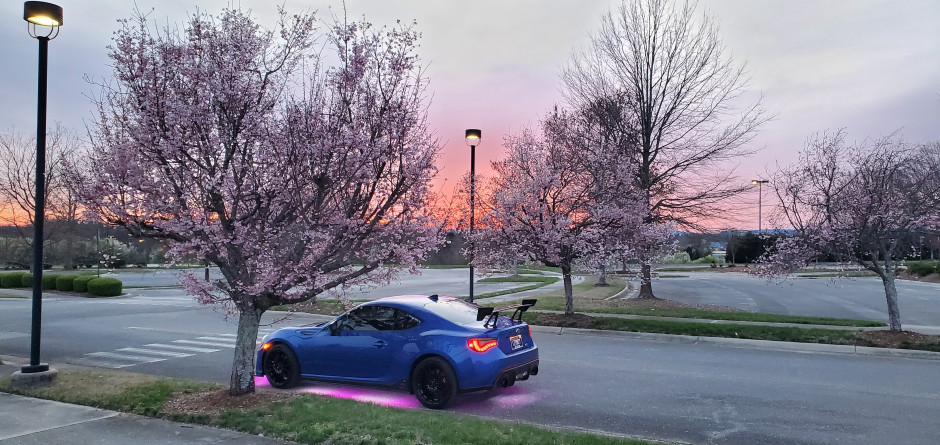 Amy Young's 2018 BRZ TS