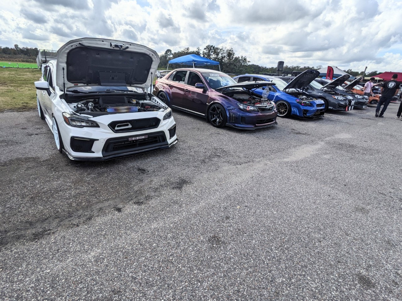 Team Boxer Squad Florida