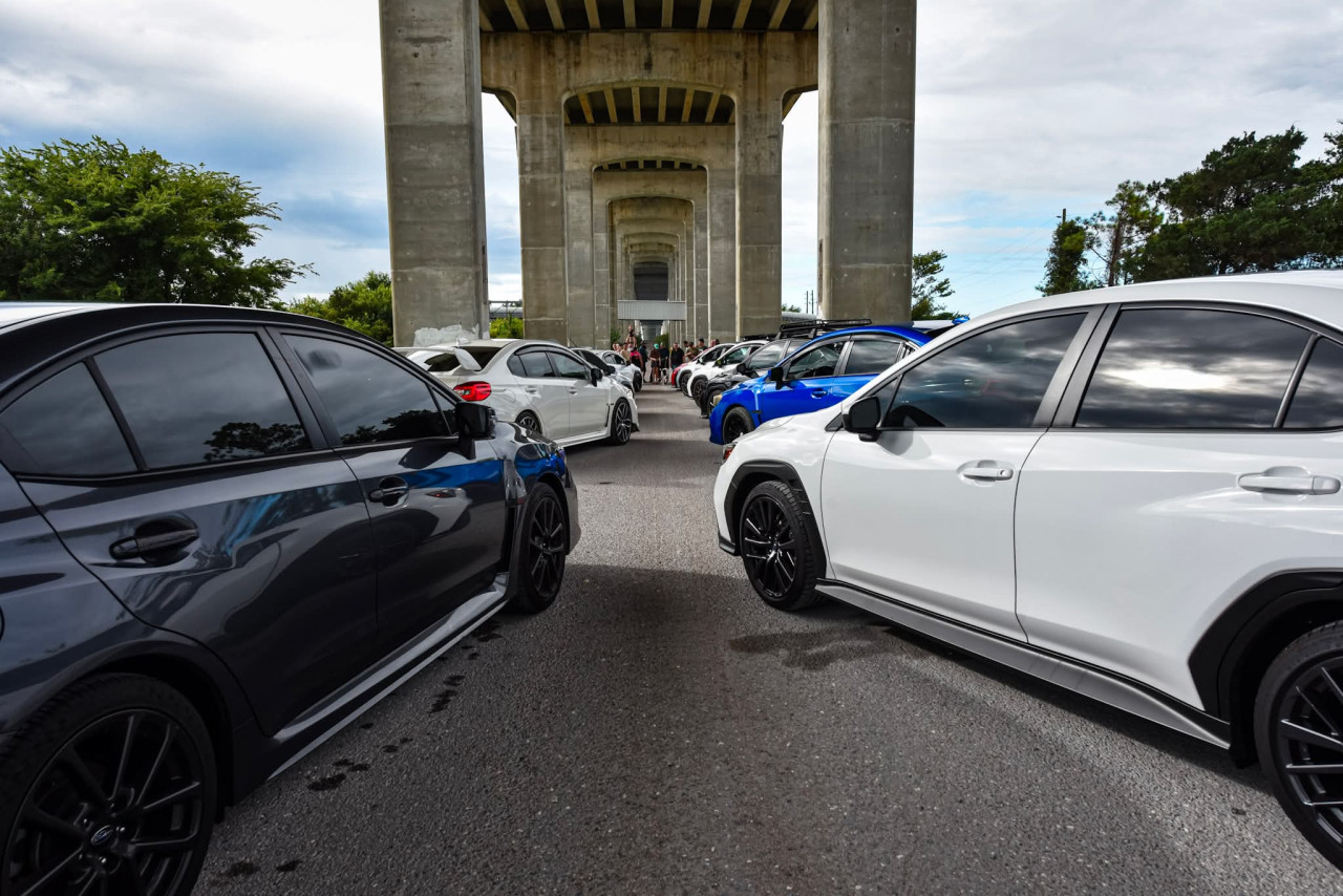 BOLD CITY SUBIES