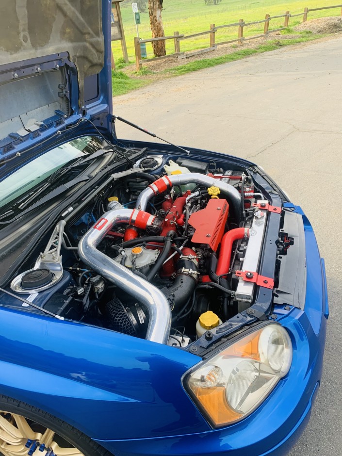Charles C's 2004 Impreza WRX STI STI