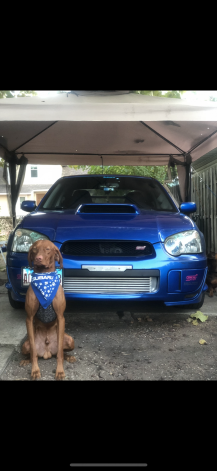 Robert S's 2004 Impreza WRX STI