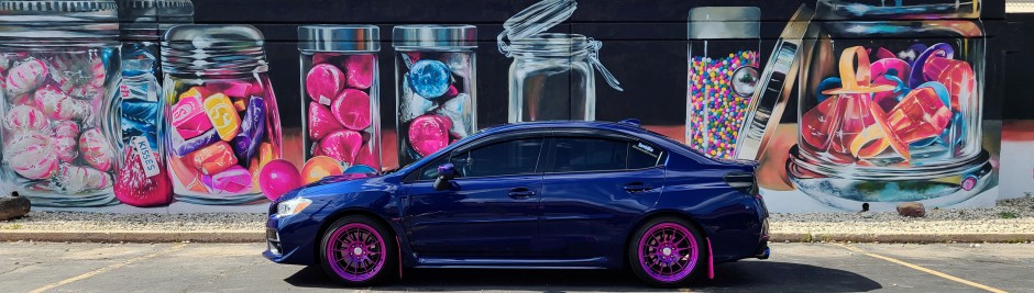 Elsa F's 2017 WRX Limited
