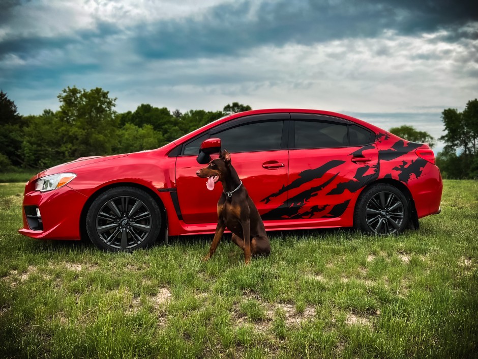 Aylissa  Banken 's 2017 WRX