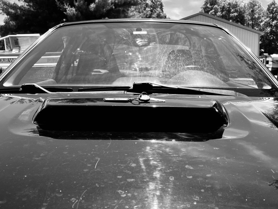 Megan M's 2005 Impreza WRX