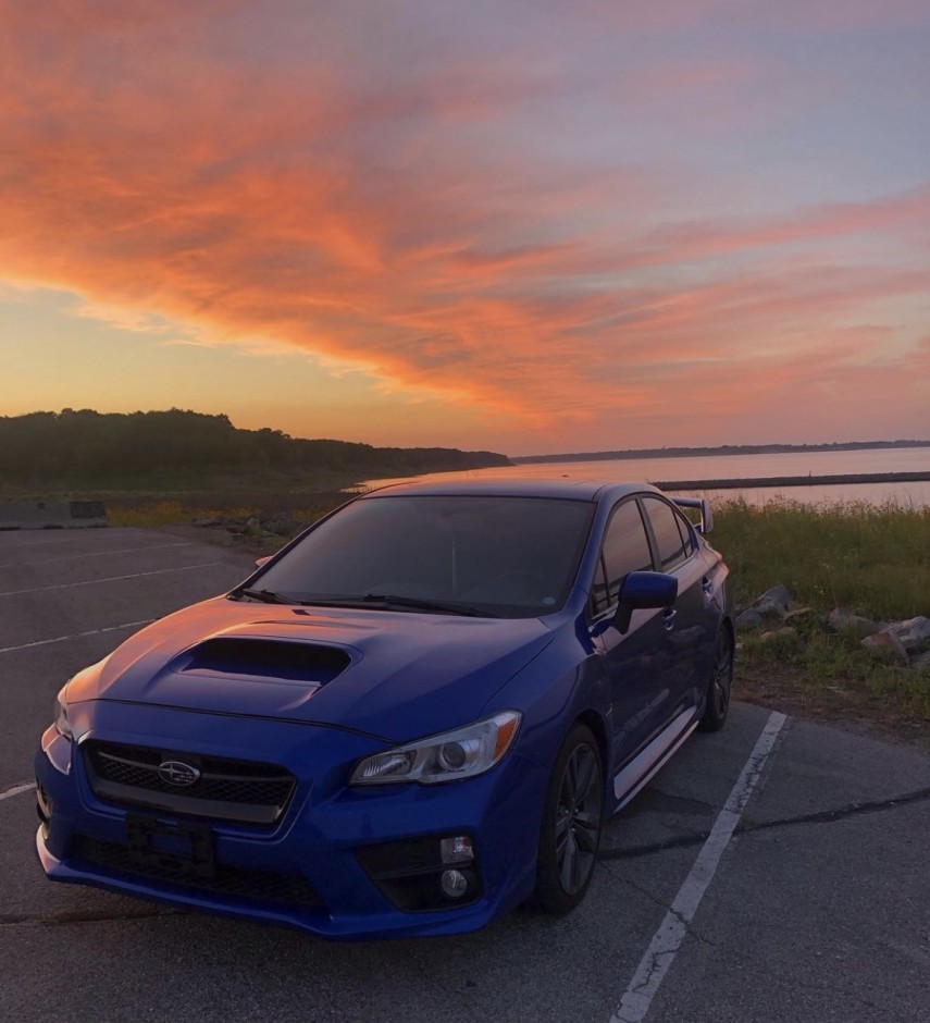 Tara G's 2016 WRX Premium