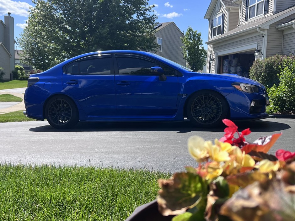 Dan  C's 2017 WRX STI