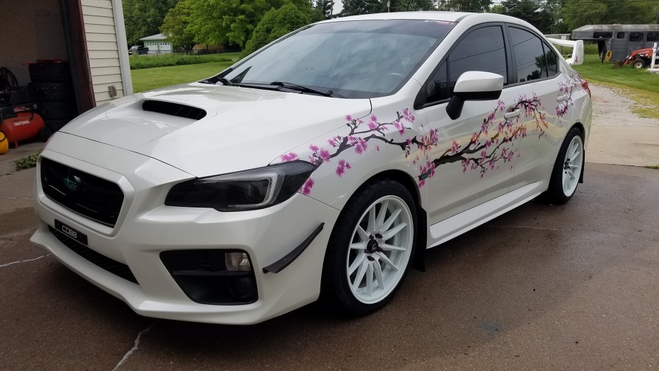 Danielle C's 2016 WRX Premium