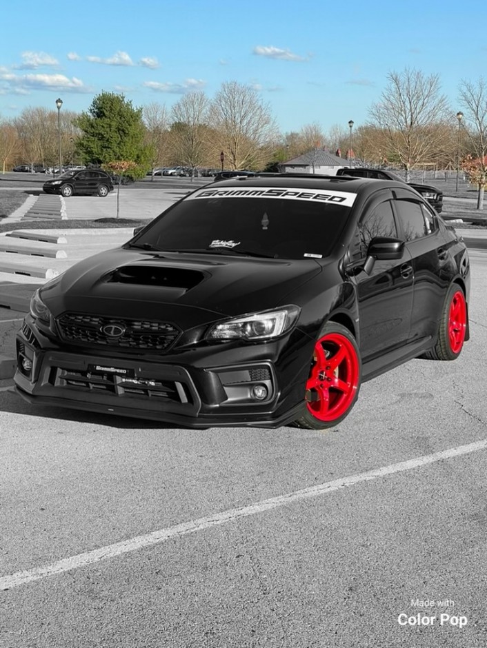 Jason R's 2019 WRX Limited