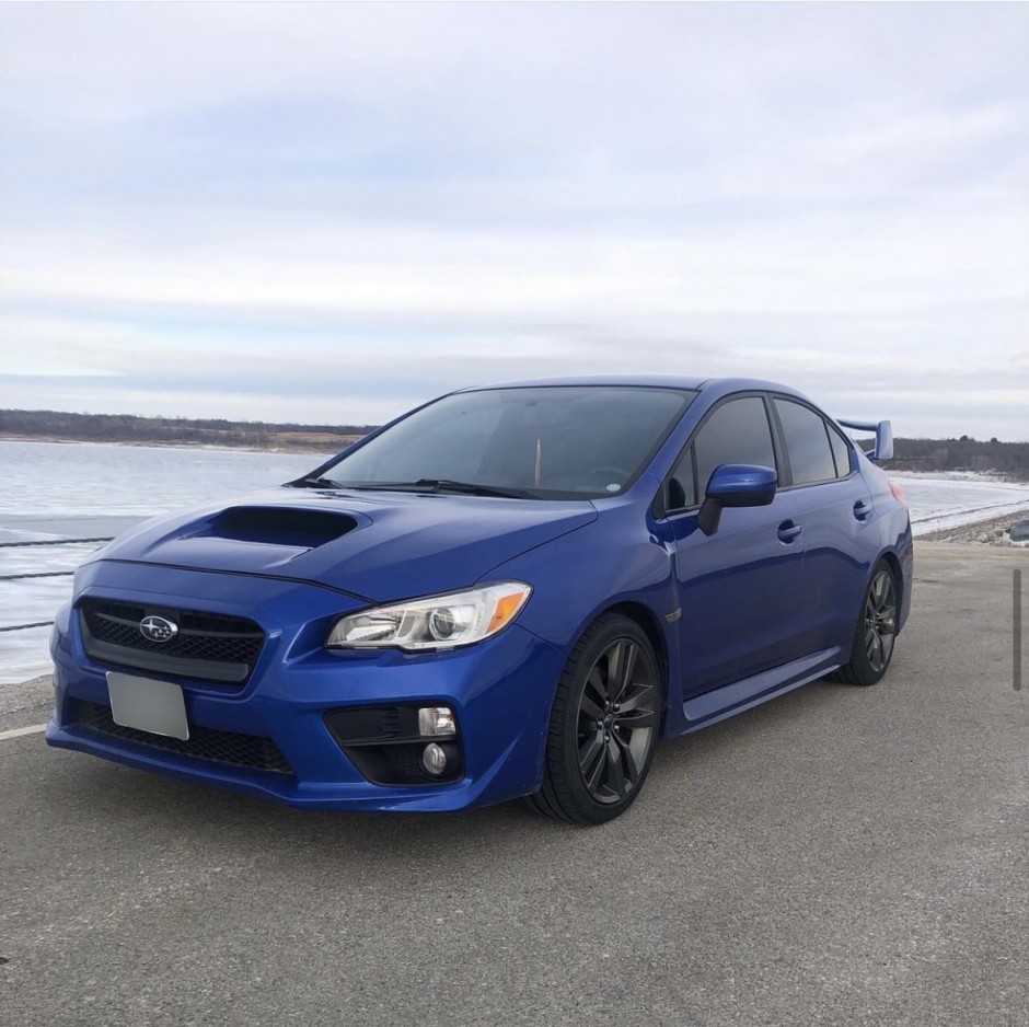 Tara G's 2016 WRX Premium
