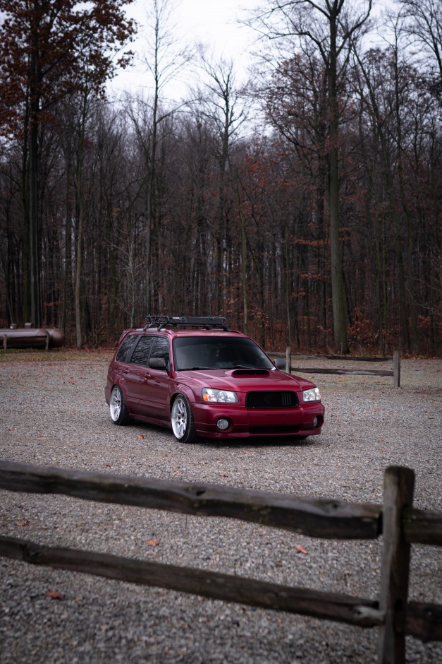 Riley C's 2005 Forester XT