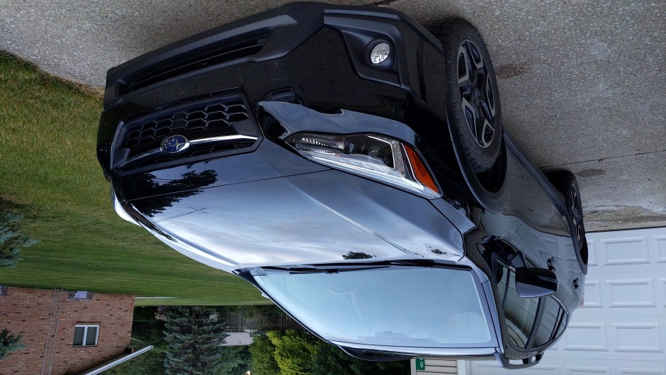 Yvonne Werner's 2019 Crosstrek Limited
