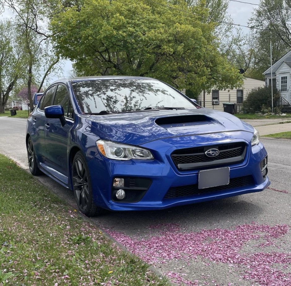 Tara G's 2016 WRX Premium
