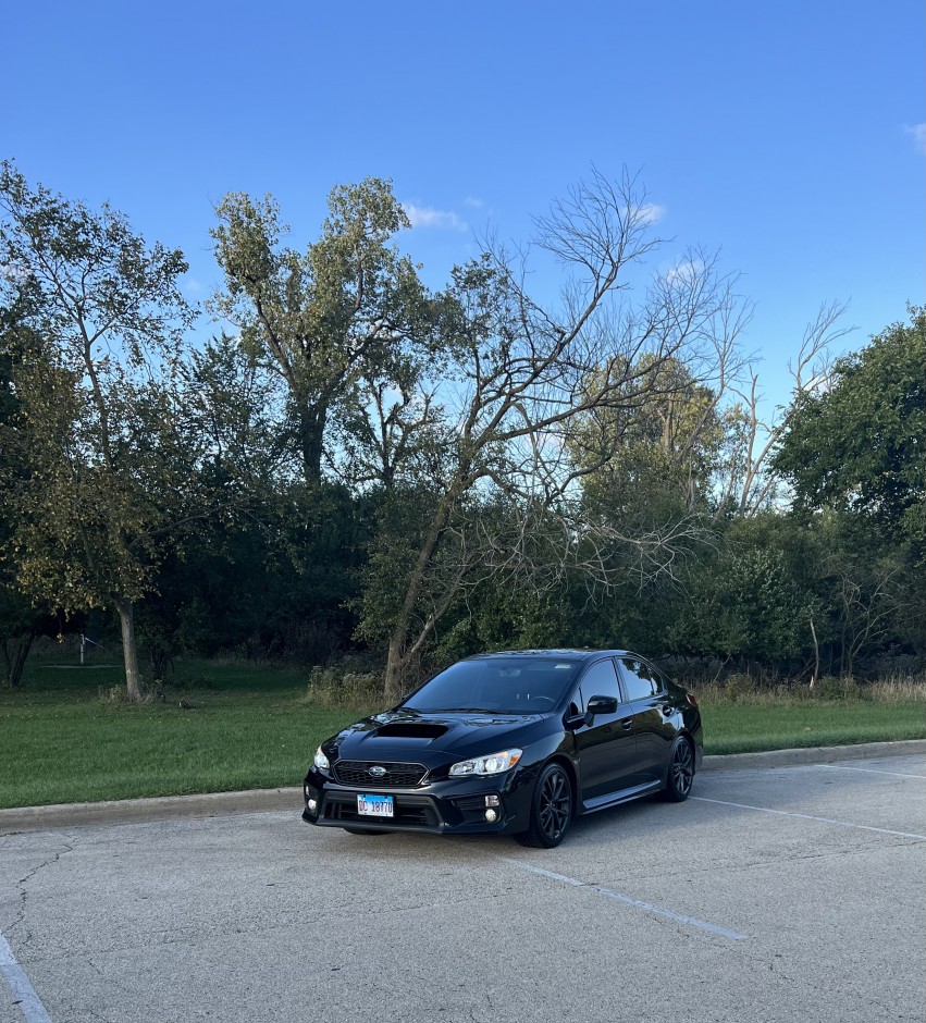 Daniel  N's 2018 WRX Premium