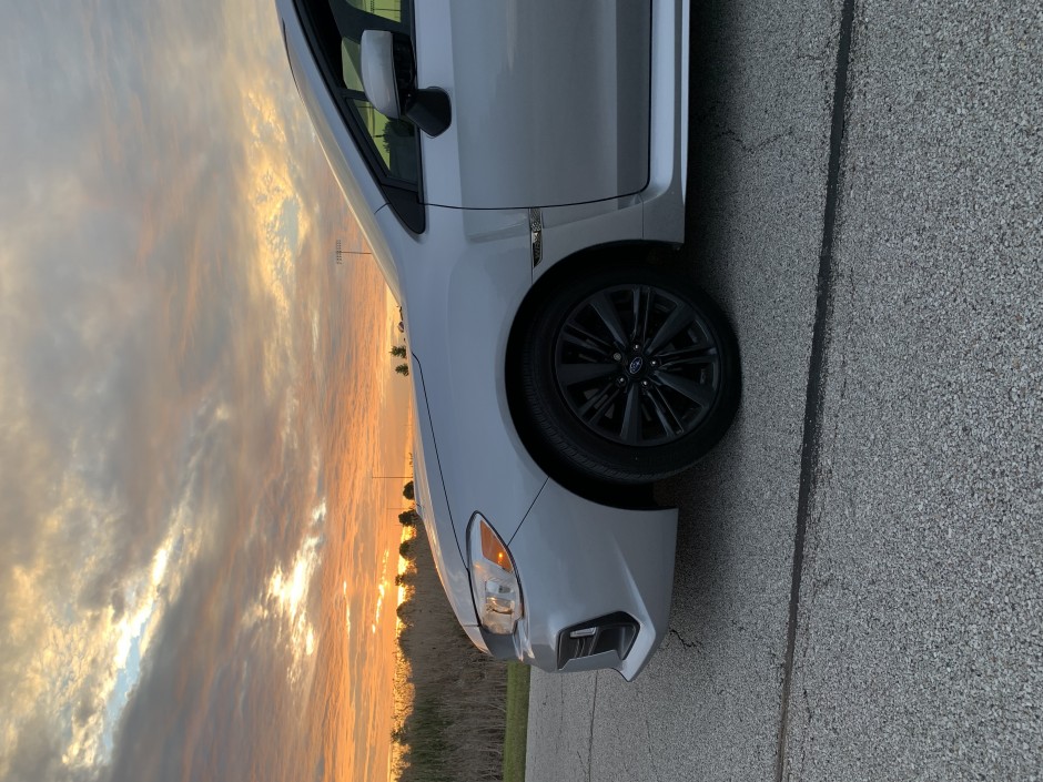 Kalvin G's 2019 WRX