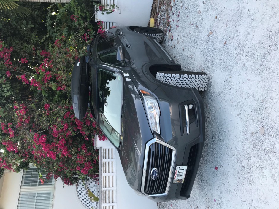 Tad I's 2020 Other Limited Limited