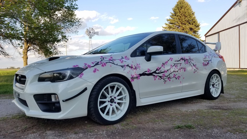 Danielle C's 2016 WRX Premium