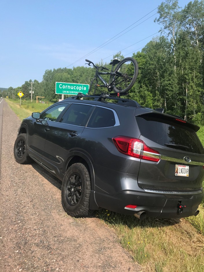Tad I's 2020 Other Limited Limited
