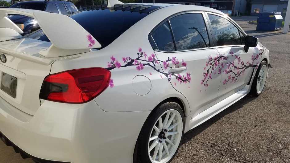 Danielle C's 2016 WRX Premium