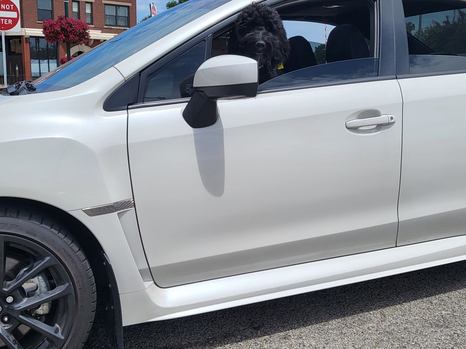 Jon Snyder's 2021 WRX Premium