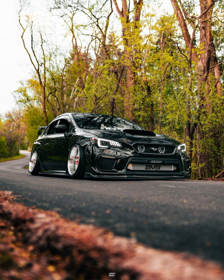 Robert P's 2019 WRX Premium