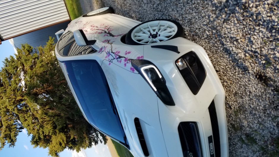 Danielle C's 2016 WRX Premium