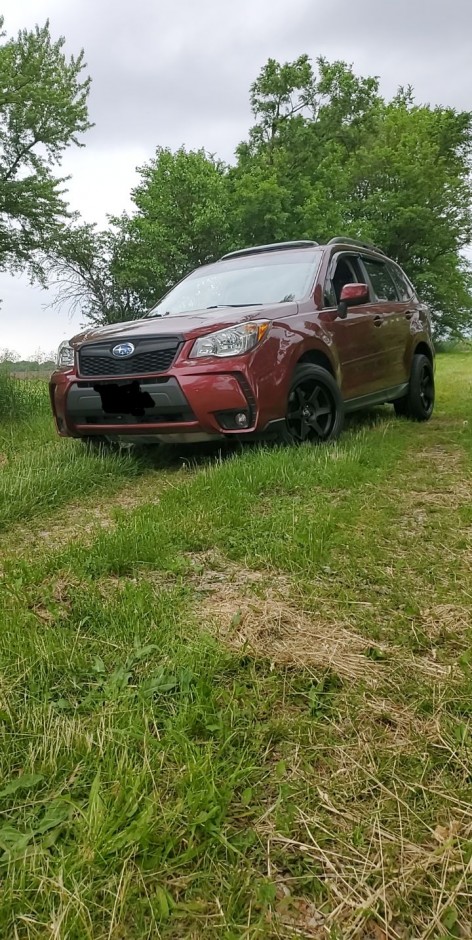 Eric  M's 2015 Forester 2.0XT Premium Premium 2.0 XT