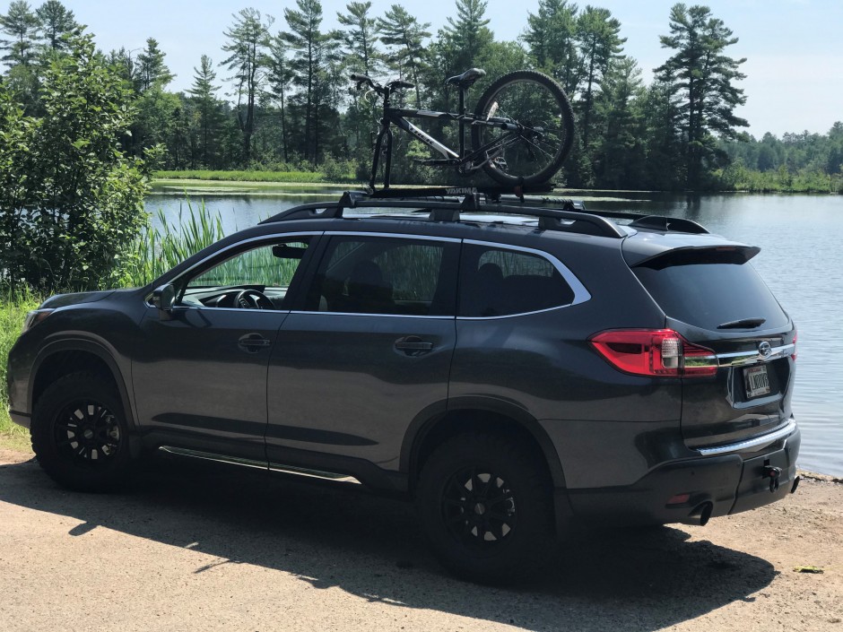Tad I's 2020 Other Limited Limited