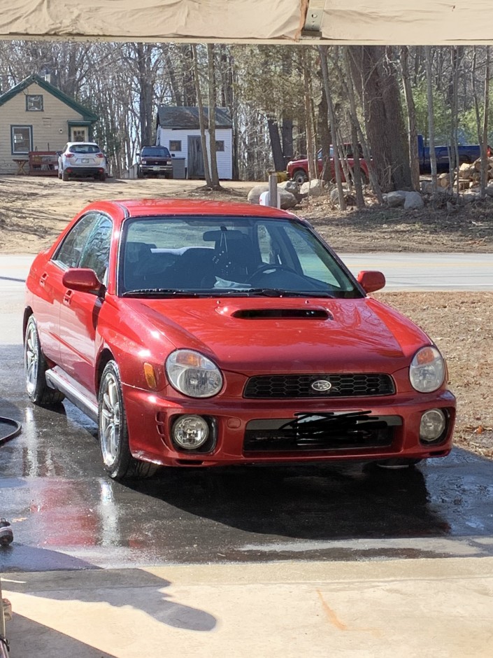Trenton J's 2002 Impreza WRX