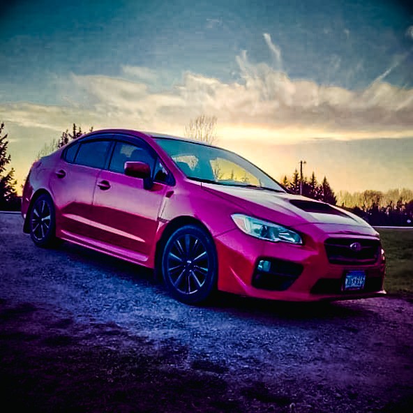 Aylissa  Banken 's 2017 WRX