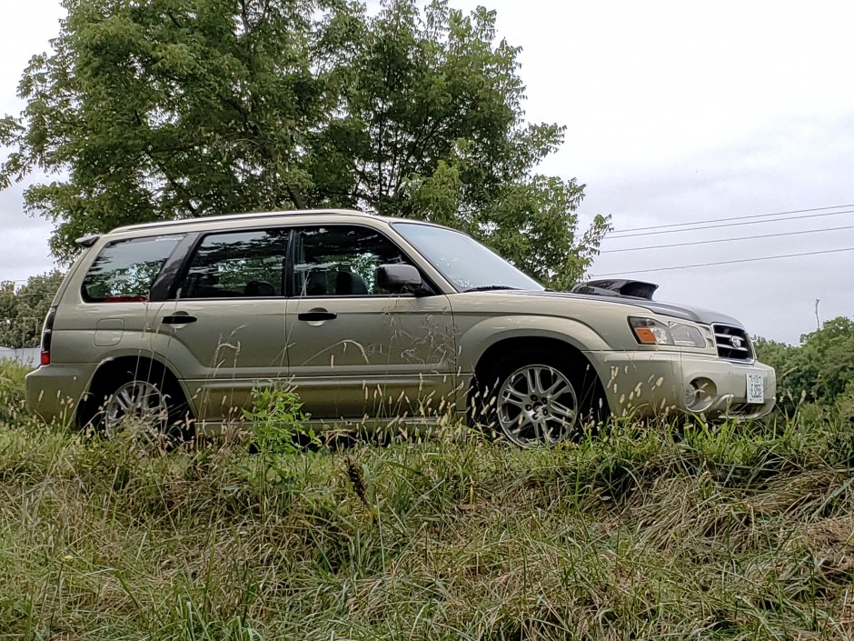 Mark D's 2005 Forester XT
