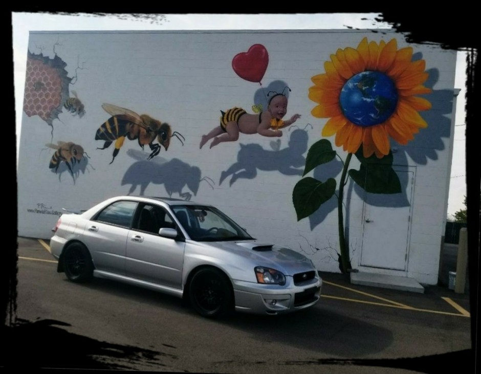 Tamara F's 2005 Impreza WRX Premium Premium