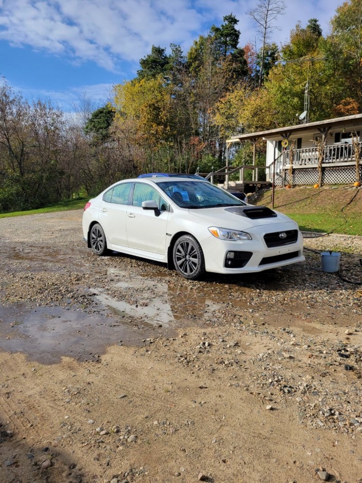 Thomas Gamache's 2016 WRX