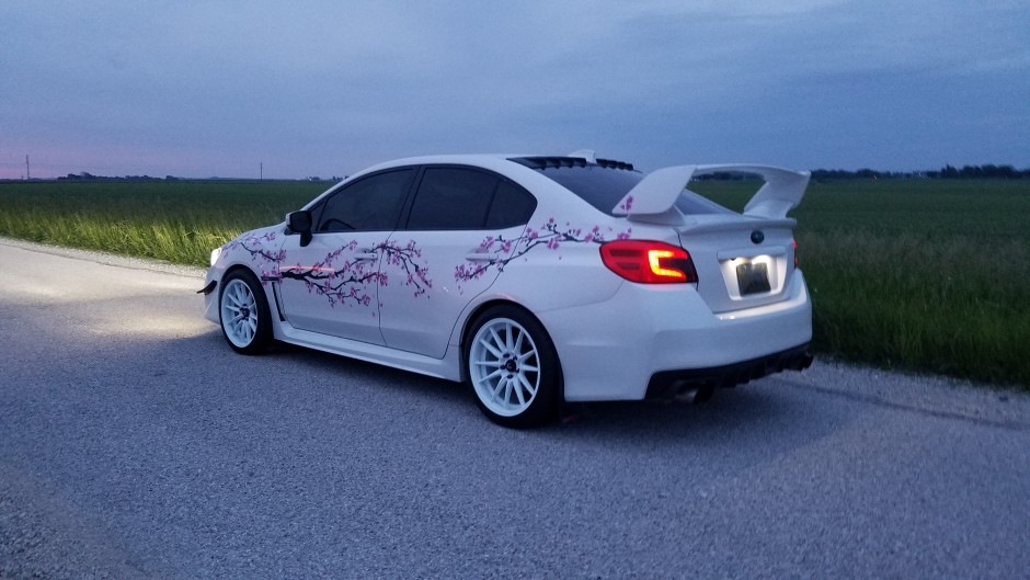 Danielle C's 2016 WRX Premium