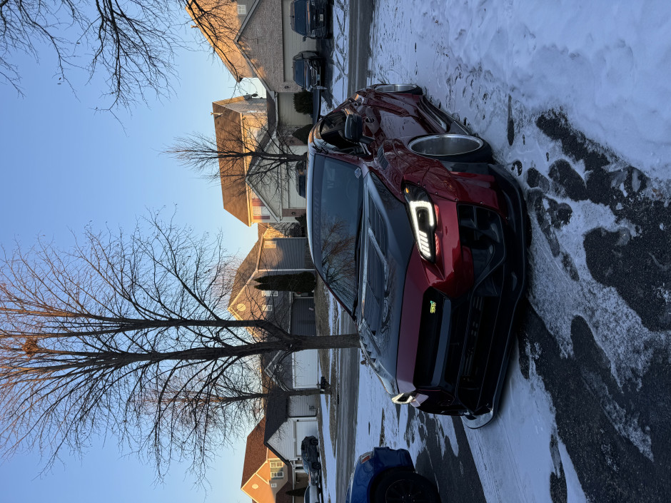 eugene S's 2018 WRX STI PREMIUM PREMIUM
