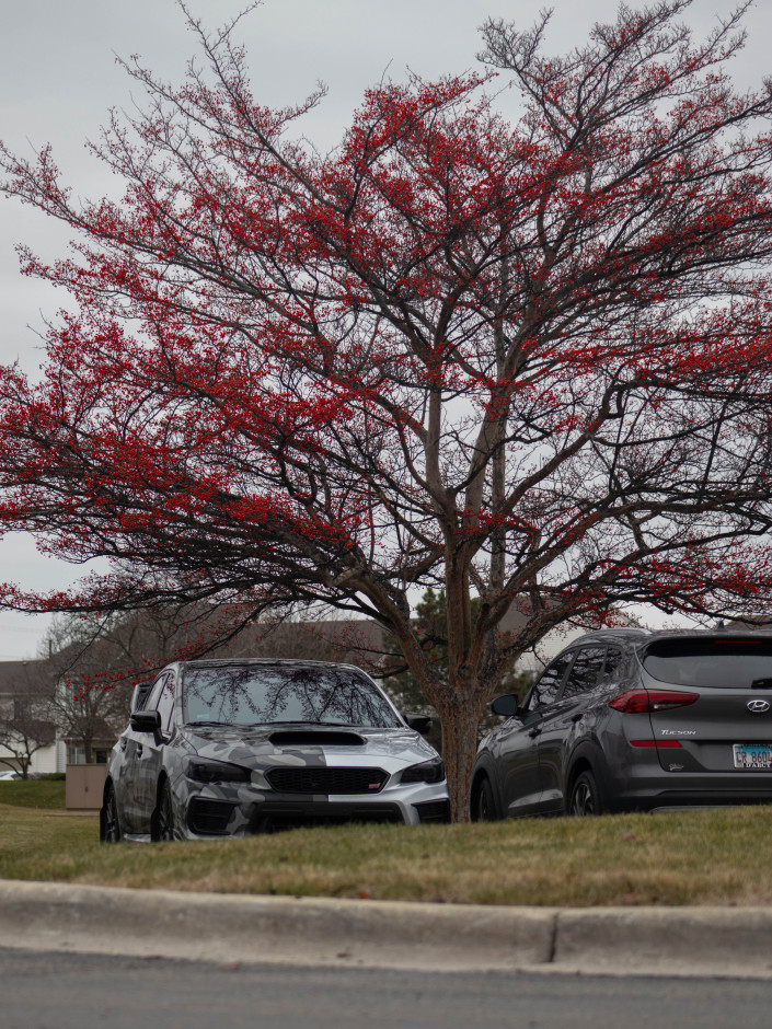 Carlos P's 2021 WRX STI Limited