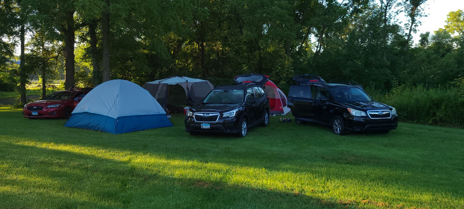 scott  N's 2019 Forester
