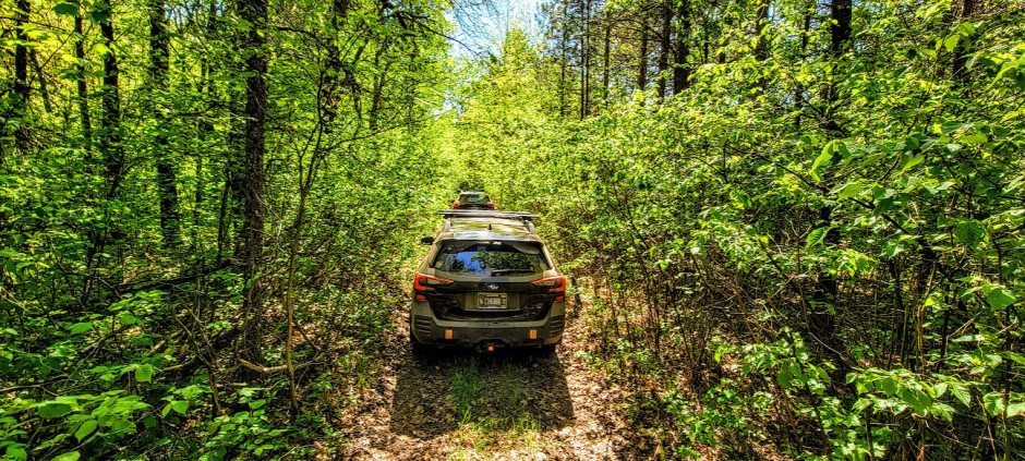 Joel T's 2022 Outback Wilderness