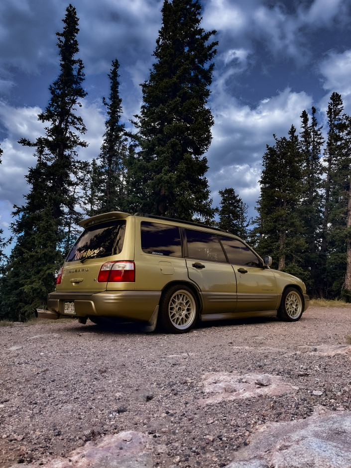 reid W's 2002 Forester S