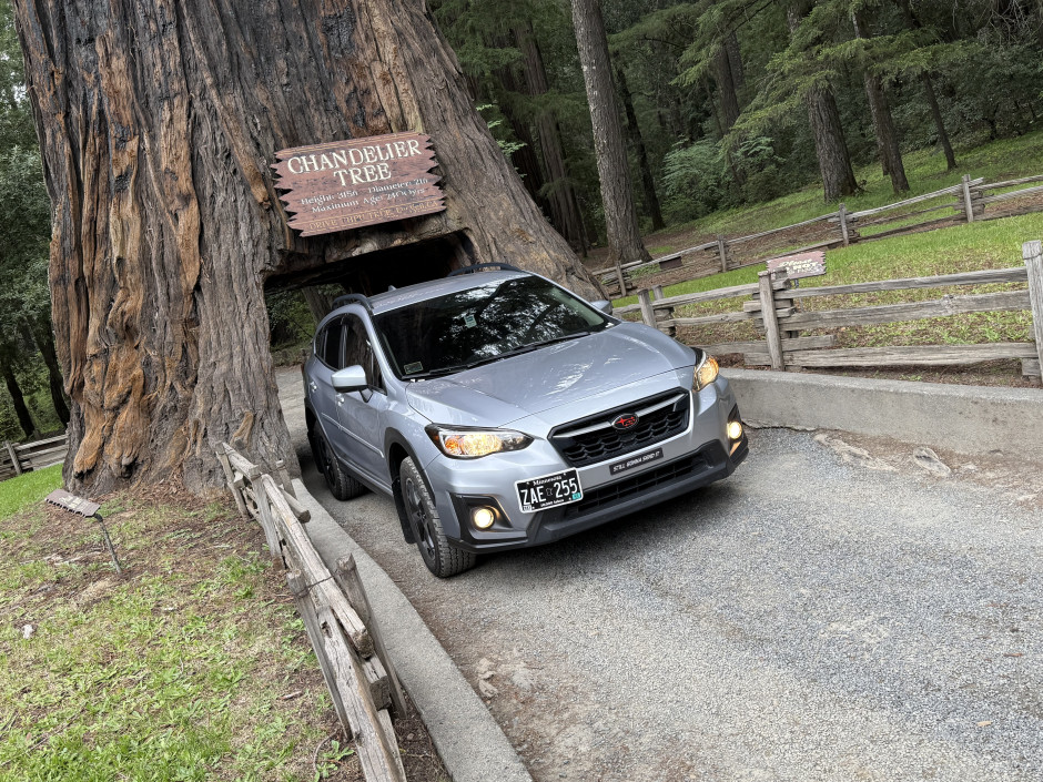 Lauren  R's 2019 Crosstrek Premium