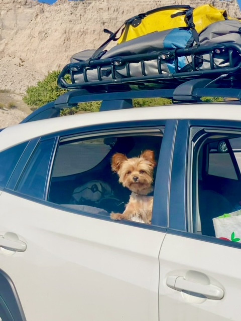 Dionisio C's 2021 Crosstrek Sport