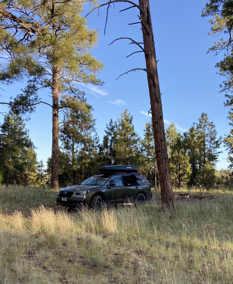 Shane M's 2020 Outback Onyx Edition XT