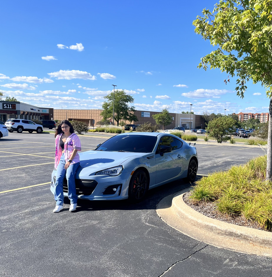 Paola H's 2019 BRZ Series grey Series grey