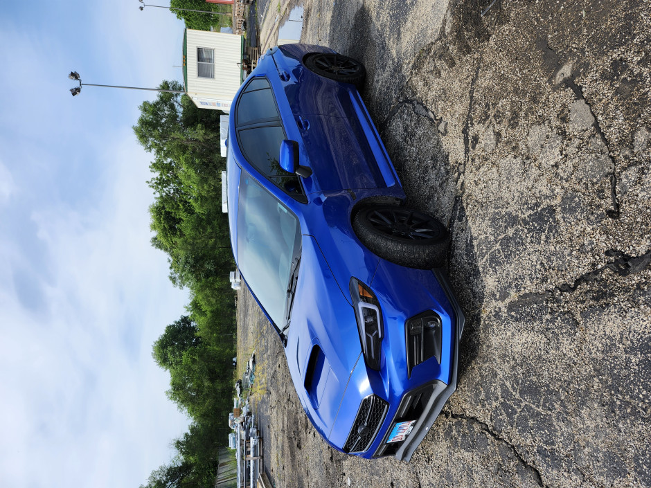 Tara Knowles's 2019 WRX Premium