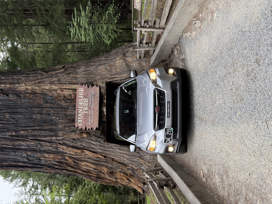 Lauren  R's 2019 Crosstrek Premium