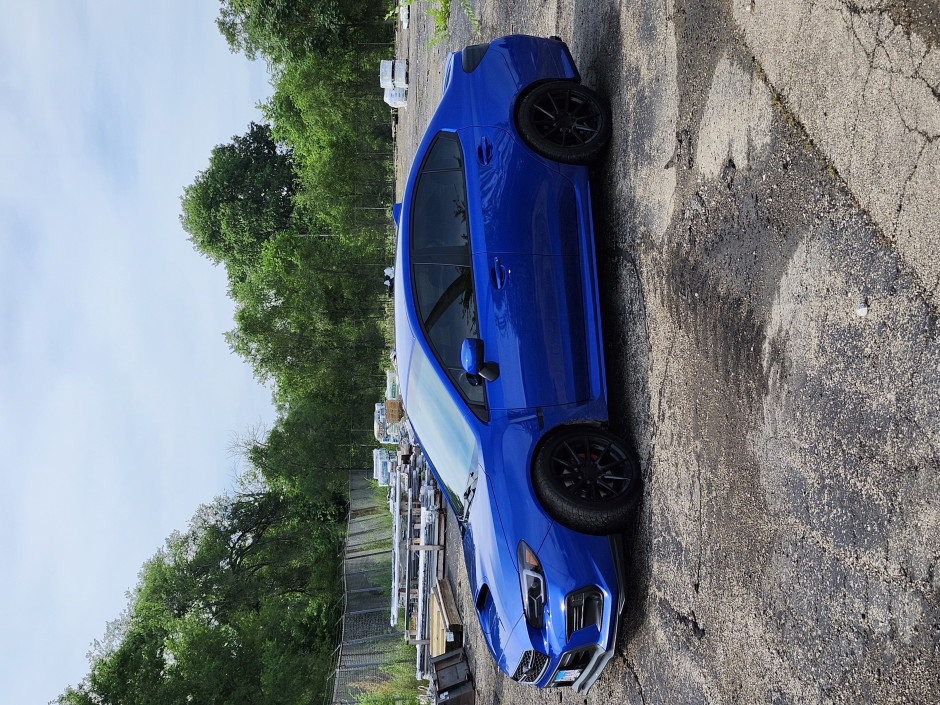Tara Knowles's 2019 WRX Premium