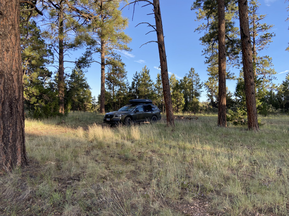 Shane M's 2020 Outback Onyx Edition XT